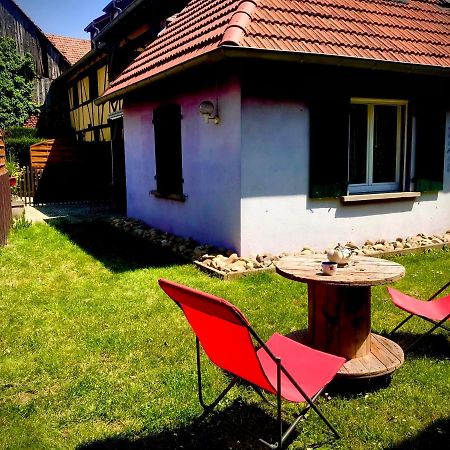 Gite Plain-Pied Avec Jardin Du Centre Alsace Ebersheim 外观 照片